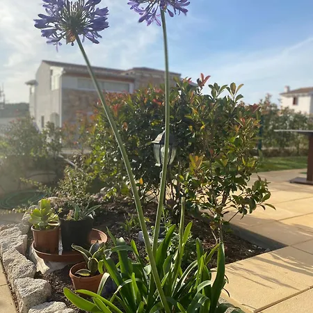 Casa La Molaretta Di San Teodoro Holiday home *