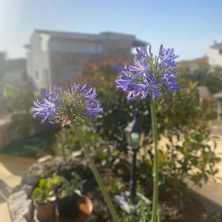 Holiday home Casa La Molaretta Di San Teodoro